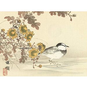 Artery8 Kono Bairei Wagtail Bird Flowers Japanese Woodblock Premium Wall Art Canvas Print 18X24 Inch Artery8 Kono Bairei Wagtail Bird Flowers Japanese Woodblock Premium Wall Art Canvas Print 18X24 Inch