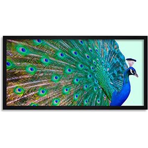 Wee Blue Coo Peacock Bird Feather Plume Long Panel Framed Wall Art Print Wee Blue Coo Peacock Bird Feather Plume Long Panel Framed Wall Art Print