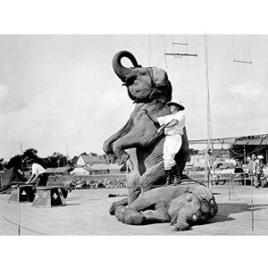 Wee Blue Coo Vintage Photography Circus Elephant Trainer Stunt Weird USA Art Print Poster Wall Decor 12X16 Inch Wee Blue Coo Vintage Photography Circus Elephant Trainer Stunt Weird USA Art Print Poster Wall Decor 12X16 Inch