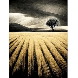 Doppelganger33 LTD Lone Tree In Field Of Golden Wheat Landscape Modern Painting Large Wall Art Poster Print Thick Paper 18X24 Inch Doppelganger33 LTD Lone Tree In Field Of Golden Wheat Landscape Modern Painting Large Wall Art Poster Print Thick Paper 18X24 Inch