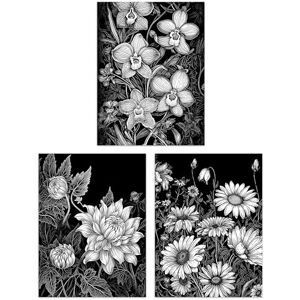 Artery8 Set of 3 Elegant Dahlia Daisy and Orchid Flowers Floral Black and White Striking Impact Artwork Unframed Wall Art Living Room Poster Prints Pack Artery8 Set of 3 Elegant Dahlia Daisy and Orchid Flowers Floral Black and White Striking Impact Artwork Unframed Wall Art Living Room Poster Prints Pack
