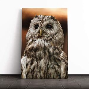 Big Box Art Tawny Owl Canvas Print Gallery Wrapped 30mm Frame Wall Art 20x14 inches Ready to Hang Modern Animals Picture Living Room Bedroom Lounge Office Big Box Art Tawny Owl Canvas Print Gallery Wrapped 30mm Frame Wall Art 20x14 inches Ready to Hang Modern Animals Picture Living Room Bedroom Lounge Office