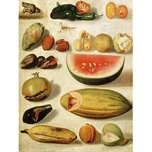 Fine Art Prints Bustos Still Life With Scorpion Frog Kitchen Fruit Painting Large Print Poster Wall Art Decor Picture Fine Art Prints Bustos Still Life With Scorpion Frog Kitchen Fruit Painting Large Print Poster Wall Art Decor Picture