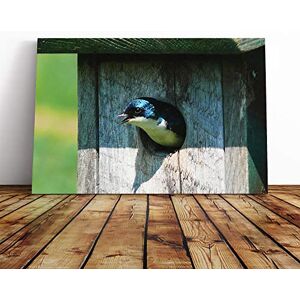 Big Box Art Swallow Bird Birdhouse (1) Canvas Print Gallery Wrapped 30mm Frame Wall Art 20x14 inches Ready to Hang Modern Animals Picture Living Room Bedroom Lounge Office Big Box Art Swallow Bird Birdhouse (1) Canvas Print Gallery Wrapped 30mm Frame Wall Art 20x14 inches Ready to Hang Modern Animals Picture Living Room Bedroom Lounge Office