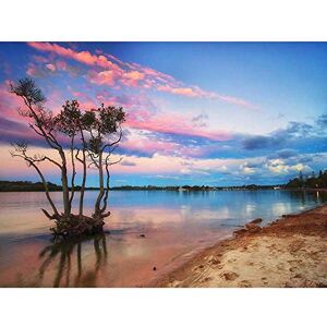 Wee Blue Coo Sunset Mangrove Tree Yamba Lake Pink Blue Beach Art Print Poster Wall Decor 12X16 Inch Wee Blue Coo Sunset Mangrove Tree Yamba Lake Pink Blue Beach Art Print Poster Wall Decor 12X16 Inch