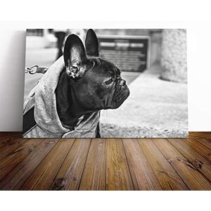 Big Box Art Canvas Print Wall Art Black French Bulldog Mounted and Stretched Box Frame Picture Home Decor for Kitchen, Living, Dining Room, Bedroom, Hallway, Multi-Colour, 30x20 Inch Big Box Art Canvas Print Wall Art Black French Bulldog Mounted and Stretched Box Frame Picture Home Decor for Kitchen, Living, Dining Room, Bedroom, Hallway, Multi-Colour, 30x20 Inch