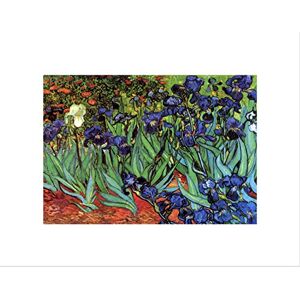 Wee Blue Coo Van Gogh Irises Old Master Picture Wall Art Print Wee Blue Coo Van Gogh Irises Old Master Picture Wall Art Print
