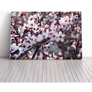 Big Box Art Canvas Print Wall Art Flower Pink Cherry Blossom Tree 2 Mounted & Stretched Box Frame Picture Home Decor for Kitchen, Living Room, Bedroom, Hallway, Multi-Colour, 20x14 Inch Big Box Art Canvas Print Wall Art Flower Pink Cherry Blossom Tree 2 Mounted & Stretched Box Frame Picture Home Decor for Kitchen, Living Room, Bedroom, Hallway, Multi-Colour, 20x14 Inch