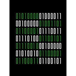 Artery8 Binary PC Master Race Nerd Joke Humour Quote Unframed Art Print Poster Wall Decor 12x16 inch Artery8 Binary PC Master Race Nerd Joke Humour Quote Unframed Art Print Poster Wall Decor 12x16 inch