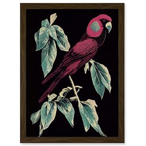 Artery8 - Burgundy Parakeet - A4 - Framed - Wall Art Print Artery8 - Burgundy Parakeet - A4 - Framed - Wall Art Print