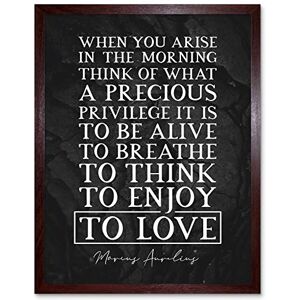 Artery8 Slate Inspiring Quote Marcus Aurelius Morning Precious Privilege Alive Art Print Framed Poster Wall Decor 12x16 inch Artery8 Slate Inspiring Quote Marcus Aurelius Morning Precious Privilege Alive Art Print Framed Poster Wall Decor 12x16 inch
