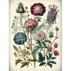 Artery8 Ernst Haeckel Style Vintage Botanical Plant Study Modern Watercolour Painting Illustration Unframed Wall Art Print Poster Home Decor Premium Artery8 Ernst Haeckel Style Vintage Botanical Plant Study Modern Watercolour Painting Illustration Unframed Wall Art Print Poster Home Decor Premium
