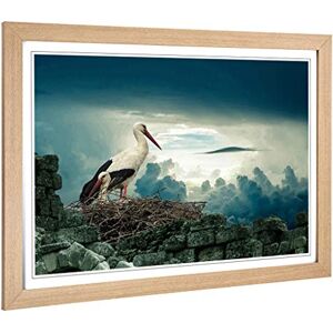 Big Box Art Framed Print of Stork Birds Nest Design Wall Art Picture Home Decor for Kitchen, Living, Dining Room, Lounge, Bedroom, Hallway, Office, Oak, A2 / 24.5x18 Inch / 62x45cm Big Box Art Framed Print of Stork Birds Nest Design Wall Art Picture Home Decor for Kitchen, Living, Dining Room, Lounge, Bedroom, Hallway, Office, Oak, A2 / 24.5x18 Inch / 62x45cm