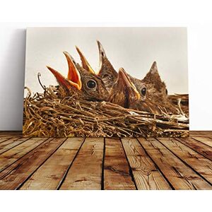 Big Box Art Baby Birds in The Nest (2) Canvas Print Gallery Wrapped 30mm Frame Wall Art 24x16 inches Ready to Hang Modern Bird Picture Living Room Bedroom Lounge Office Big Box Art Baby Birds in The Nest (2) Canvas Print Gallery Wrapped 30mm Frame Wall Art 24x16 inches Ready to Hang Modern Bird Picture Living Room Bedroom Lounge Office