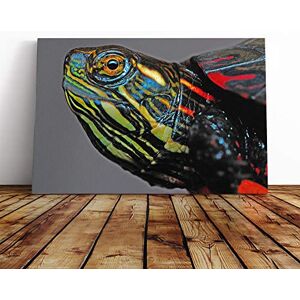 Big Box Art Painted Turtle Canvas Print Gallery Wrapped 30mm Frame Wall Art 24x16 inches Ready to Hang Modern Animals Picture Living Room Bedroom Lounge Office Big Box Art Painted Turtle Canvas Print Gallery Wrapped 30mm Frame Wall Art 24x16 inches Ready to Hang Modern Animals Picture Living Room Bedroom Lounge Office