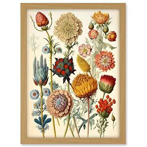 Artery8 Vintage Botanical Ernst Haeckel Inspired Plant Study Modern Watercolour Painting Illustration Artwork Framed A3 Wall Art Print Artery8 Vintage Botanical Ernst Haeckel Inspired Plant Study Modern Watercolour Painting Illustration Artwork Framed A3 Wall Art Print