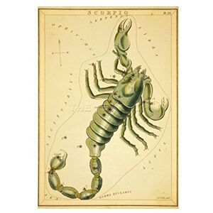 Wee Blue Coo Drawing Star Map Scorpio Scorpion Constellation Picture Wall Art Print Wee Blue Coo Drawing Star Map Scorpio Scorpion Constellation Picture Wall Art Print