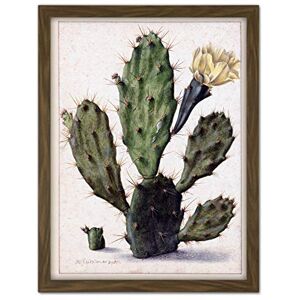 Artery8 Saftleven Pear Cactus In Bloom Flora Artwork Framed Wall Art Print 18X24 Inch Artery8 Saftleven Pear Cactus In Bloom Flora Artwork Framed Wall Art Print 18X24 Inch