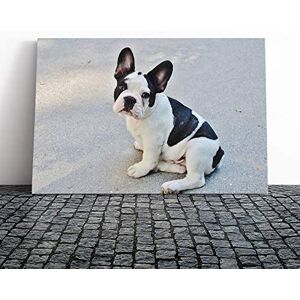 Big Box Art Canvas Print Wall Art Black and White French Bulldog Dog Mounted & Stretched Box Frame Picture Home Decor for Kitchen, Living Room, Bedroom, Hallway, Multi-Colour, 30x20 Inch Big Box Art Canvas Print Wall Art Black and White French Bulldog Dog Mounted & Stretched Box Frame Picture Home Decor for Kitchen, Living Room, Bedroom, Hallway, Multi-Colour, 30x20 Inch
