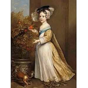 Artery8 Hanneman William III Prince Orange Child Portrait Unframed Wall Art Print Poster Home Decor Premium Artery8 Hanneman William III Prince Orange Child Portrait Unframed Wall Art Print Poster Home Decor Premium