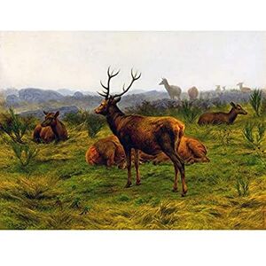 Fine Art Prints Bonheur The Monarch Of The Deer Herd Stag Painting Landscape Art Print Canvas Premium Wall Decor Poster Mural Fine Art Prints Bonheur The Monarch Of The Deer Herd Stag Painting Landscape Art Print Canvas Premium Wall Decor Poster Mural