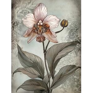 Artery8 Art Nouveau Pink Orchid Bloom Flower Watercolour Large Wall Art Poster Print Thick Paper 18X24 Inch Artery8 Art Nouveau Pink Orchid Bloom Flower Watercolour Large Wall Art Poster Print Thick Paper 18X24 Inch