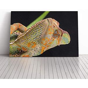 Big Box Art Chameleon Lizard Reptile (4) Canvas Print Gallery Wrapped 30mm Frame Wall Art 30x20 inches Ready to Hang Modern Animals Picture Living Room Bedroom Lounge Office Big Box Art Chameleon Lizard Reptile (4) Canvas Print Gallery Wrapped 30mm Frame Wall Art 30x20 inches Ready to Hang Modern Animals Picture Living Room Bedroom Lounge Office