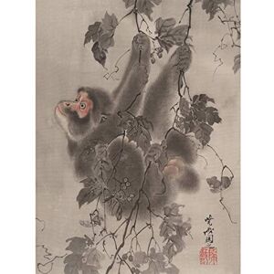Fine Art Prints Kyosai Monkey Hanging Grapevines Painting Premium Wall Art Canvas Print 18X24 Inch Fine Art Prints Kyosai Monkey Hanging Grapevines Painting Premium Wall Art Canvas Print 18X24 Inch