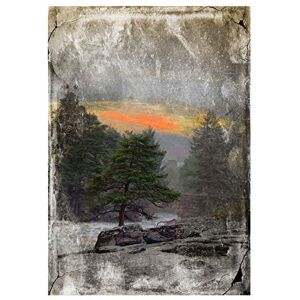 Wee Blue Coo Photo Painting Forest River Stressed Framed Picture Art Wall Art Print Wee Blue Coo Photo Painting Forest River Stressed Framed Picture Art Wall Art Print