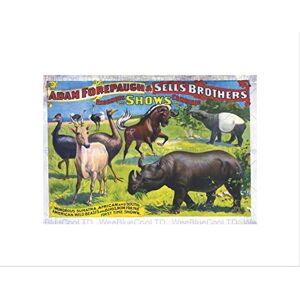 Wee Blue Coo Exhibition Animals Zoo Rhino USA Vintage Advert Retro Wall Art Print Wee Blue Coo Exhibition Animals Zoo Rhino USA Vintage Advert Retro Wall Art Print