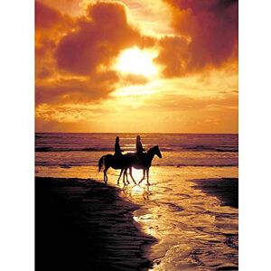 Wee Blue Coo Photography Seascape Beach Horses Sunset Ocean Sand Waves Art Print Poster Wall Decor 12X16 Inch Wee Blue Coo Photography Seascape Beach Horses Sunset Ocean Sand Waves Art Print Poster Wall Decor 12X16 Inch