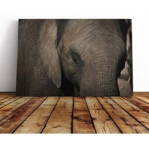 Big Box Art Canvas Print Wall Art Elephant Close Up Mounted and Stretched Box Frame Picture Home Decor for Kitchen, Living, Dining Room, Bedroom, Hallway, Multi-Colour, 30x20 Inch Big Box Art Canvas Print Wall Art Elephant Close Up Mounted and Stretched Box Frame Picture Home Decor for Kitchen, Living, Dining Room, Bedroom, Hallway, Multi-Colour, 30x20 Inch
