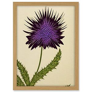Wee Blue Coo Stylized Modern Purple Scottish Thistle Flower Illustration Artwork Framed A3 Wall Art Print Wee Blue Coo Stylized Modern Purple Scottish Thistle Flower Illustration Artwork Framed A3 Wall Art Print