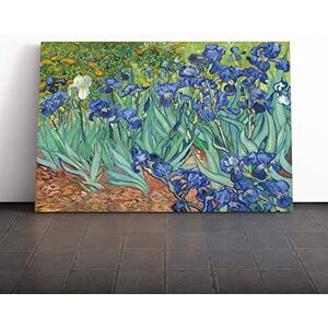 Big Box Art Canvas Print Wall Art Vincent Van Gogh Iris Irises Flowers Mounted & Stretched Box Frame Picture Home Decor for Kitchen, Living Room, Bedroom, Hallway, Multi-Colour, 20x14 Inch Big Box Art Canvas Print Wall Art Vincent Van Gogh Iris Irises Flowers Mounted & Stretched Box Frame Picture Home Decor for Kitchen, Living Room, Bedroom, Hallway, Multi-Colour, 20x14 Inch
