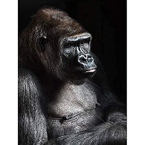 Wee Blue Coo Nature Photo Gorilla Ape Black Monkey Cool Large Art Print Poster Wall Decor 18x24 inch Wee Blue Coo Nature Photo Gorilla Ape Black Monkey Cool Large Art Print Poster Wall Decor 18x24 inch
