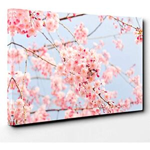 Big Box Art Canvas Print Wall Art Pink Cherry Blossom Tree Flowers (2) Mounted & Stretched Box Frame Picture Home Decor for Kitchen, Living Room, Bedroom, Hallway, Multi-Colour, 30x20 Inch Big Box Art Canvas Print Wall Art Pink Cherry Blossom Tree Flowers (2) Mounted & Stretched Box Frame Picture Home Decor for Kitchen, Living Room, Bedroom, Hallway, Multi-Colour, 30x20 Inch