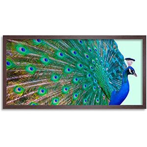Wee Blue Coo Peacock Bird Feather Plume Long Panel Framed Wall Art Print Wee Blue Coo Peacock Bird Feather Plume Long Panel Framed Wall Art Print