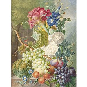Artery8 Van Os Still Life Flowers Fruit Painting Large Wall Art Poster Print Thick Paper 18X24 Inch Artery8 Van Os Still Life Flowers Fruit Painting Large Wall Art Poster Print Thick Paper 18X24 Inch