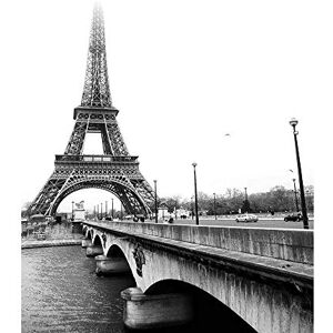 Wee Blue Coo Photo Landmark Eiffel Tower Paris France Misty Black White Art Print Poster Wall Decor 12X16 Inch Wee Blue Coo Photo Landmark Eiffel Tower Paris France Misty Black White Art Print Poster Wall Decor 12X16 Inch