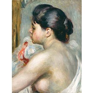Fine Art Prints Pierre Auguste Renoir Dark Haired Woman Large Wall Art Print Canvas Premium Poster Mural Fine Art Prints Pierre Auguste Renoir Dark Haired Woman Large Wall Art Print Canvas Premium Poster Mural