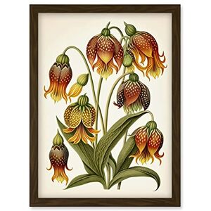 Artery8 - Ernst Haeckel Fritillaria Flower Study - A4 - Wall art print Artery8 - Ernst Haeckel Fritillaria Flower Study - A4 - Wall art print