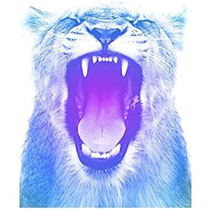 Wee Blue Coo Colourful Roar Lion Art Print Canvas Premium Wall Decor Poster Wee Blue Coo Colourful Roar Lion Art Print Canvas Premium Wall Decor Poster