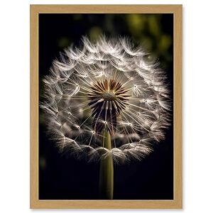 Artery8 Dandelion Flower Pappus Macro Photograph Dark Close Up Detail Artwork Framed Wall Art Print A4 Artery8 Dandelion Flower Pappus Macro Photograph Dark Close Up Detail Artwork Framed Wall Art Print A4