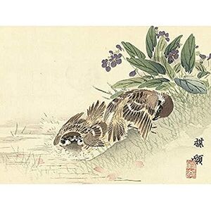 Artery8 Kono Bairei Bathing Tree Sparrow Japanese Woodblock Unframed Wall Art Print Poster Home Decor Premium Artery8 Kono Bairei Bathing Tree Sparrow Japanese Woodblock Unframed Wall Art Print Poster Home Decor Premium