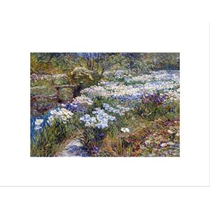 Wee Blue Coo Childe Hassam Water Garden 1909 Wall Art Print Wee Blue Coo Childe Hassam Water Garden 1909 Wall Art Print