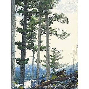 Fine Art Prints Winslow Homer Old Settlers Art Print Canvas Premium Wall Decor Poster Mural Fine Art Prints Winslow Homer Old Settlers Art Print Canvas Premium Wall Decor Poster Mural