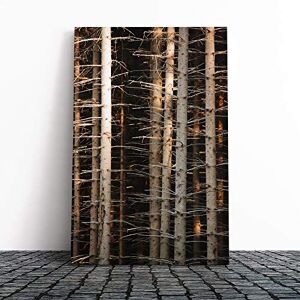 Big Box Art Canvas Print Wall Art Deep Forest Woodland Trees (2) Mounted and Stretched Box Frame Picture Home Decor for Kitchen, Living Room, Bedroom, Hallway, Multi-Colour, 30x20 Inch Big Box Art Canvas Print Wall Art Deep Forest Woodland Trees (2) Mounted and Stretched Box Frame Picture Home Decor for Kitchen, Living Room, Bedroom, Hallway, Multi-Colour, 30x20 Inch