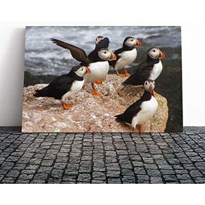 Big Box Art Atlantic Puffin Birds Canvas Print Gallery Wrapped 30mm Frame Wall Art 30x20 inches Ready to Hang Modern Bird Picture Living Room Bedroom Lounge Office Big Box Art Atlantic Puffin Birds Canvas Print Gallery Wrapped 30mm Frame Wall Art 30x20 inches Ready to Hang Modern Bird Picture Living Room Bedroom Lounge Office