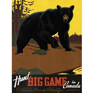 Wee Blue Coo Travel Bear Hunting Canadian Pacific Canada Vintage Art Print Poster Wall Decor 12X16 Inch Wee Blue Coo Travel Bear Hunting Canadian Pacific Canada Vintage Art Print Poster Wall Decor 12X16 Inch