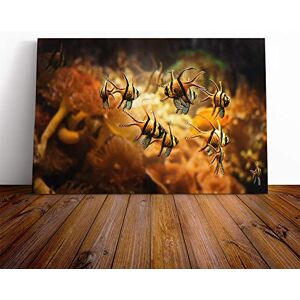 Big Box Art Orange Fish Canvas Print Gallery Wrapped 30mm Frame Wall Art 30x20 inches Ready to Hang Modern Animals Picture Living Room Bedroom Lounge Office Big Box Art Orange Fish Canvas Print Gallery Wrapped 30mm Frame Wall Art 30x20 inches Ready to Hang Modern Animals Picture Living Room Bedroom Lounge Office